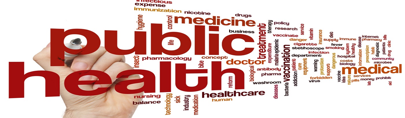 Global Congress on Public Health & Healthcare Innovation